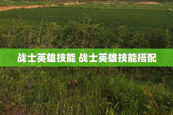 战士英雄技能 战士英雄技能搭配