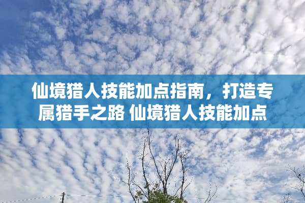 仙境猎人技能加点指南，打造专属猎手之路 仙境猎人技能加点
