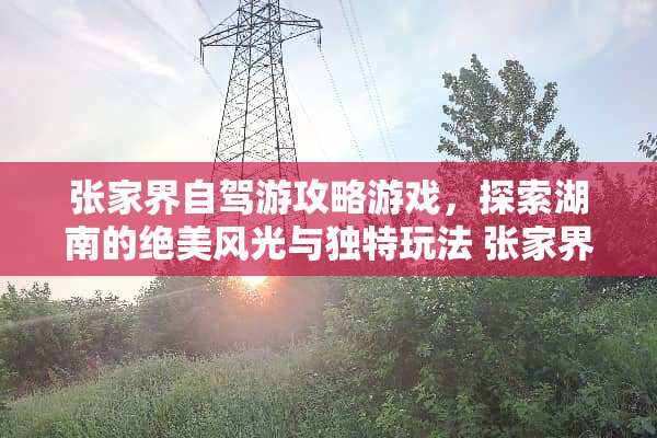 张家界自驾游攻略游戏，探索湖南的绝美风光与独特玩法 张家界自驾游攻略游戏