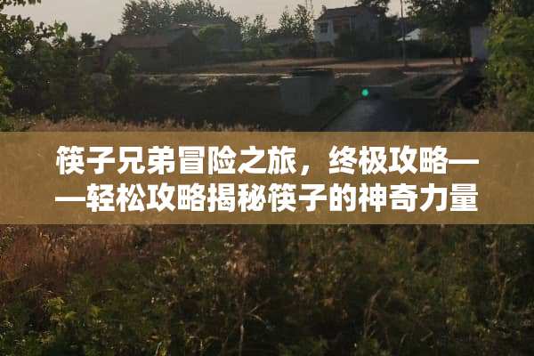 筷子兄弟冒险之旅，终极攻略——轻松攻略揭秘筷子的神奇力量！ 主机游戏筷子兄弟攻略