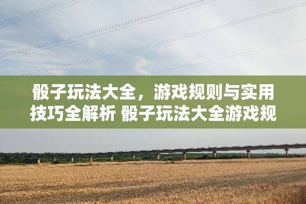 **玩法大全，游戏规则与实用技巧全解析**玩法大全游戏规则
