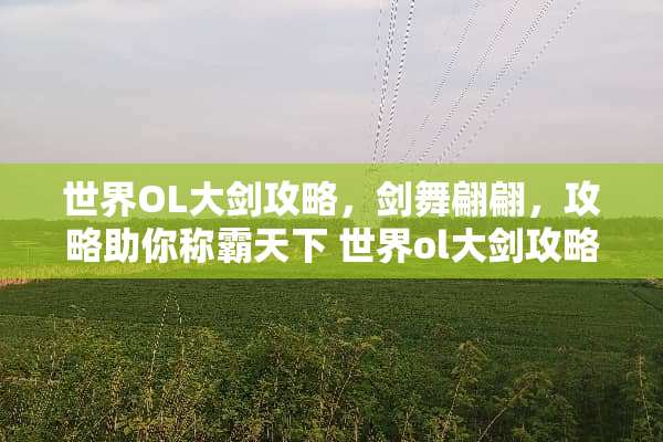 世界OL大剑攻略，剑舞翩翩，攻略助你称霸天下 世界ol大剑攻略