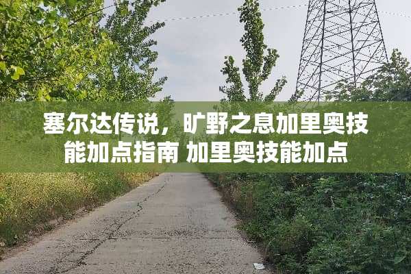 塞尔达传说，旷野之息加里奥技能加点指南 加里奥技能加点