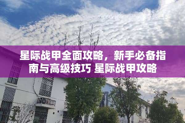 星际战甲全面攻略，新手必备指南与高级技巧 星际战甲攻略