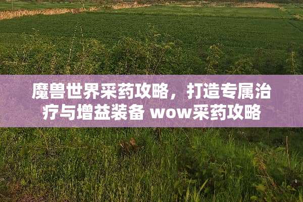魔兽世界采药攻略，打造专属治疗与增益装备 wow采药攻略