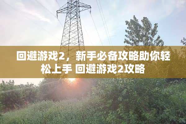 回避游戏2，新手必备攻略助你轻松上手 回避游戏2攻略