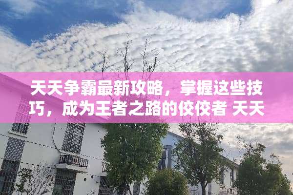 天天争霸最新攻略，掌握这些技巧，成为王者之路的佼佼者 天天争霸攻略