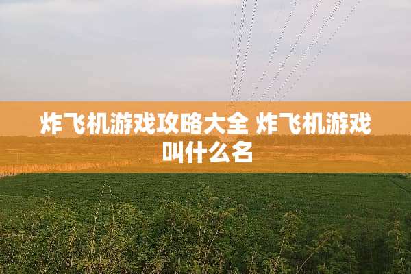 炸飞机游戏攻略大全 炸飞机游戏叫什么名