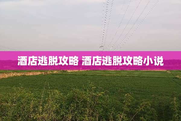 酒店逃脱攻略 酒店逃脱攻略小说