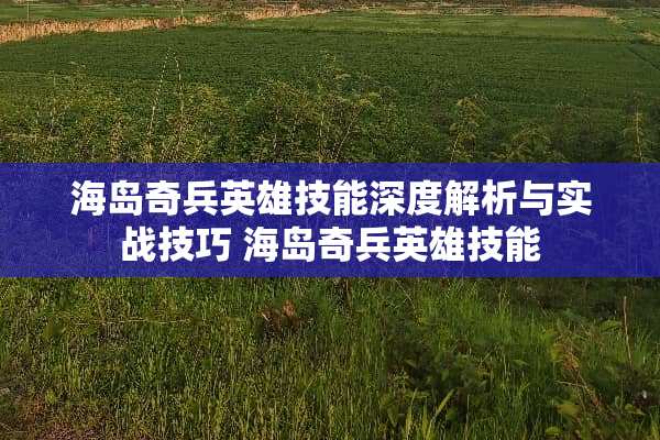 海岛奇兵英雄技能深度解析与实战技巧 海岛奇兵英雄技能