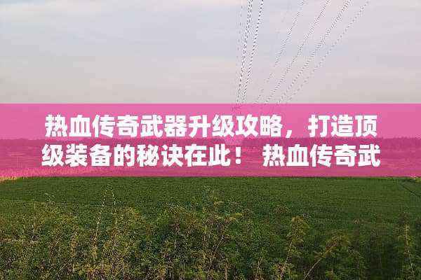 热血传奇**升级攻略，打造**装备的秘诀在此！ 热血传奇**升级攻略