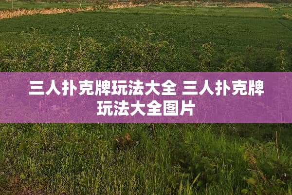 三人**牌玩法大全 三人**牌玩法大全图片