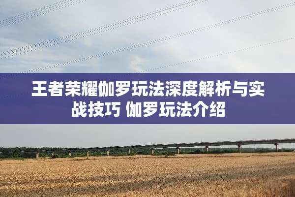 王者荣耀伽罗玩法深度解析与实战技巧 伽罗玩法介绍