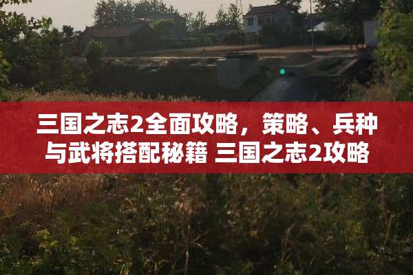 三国之志2全面攻略，策略、兵种与武将搭配秘籍 三国之志2攻略大全