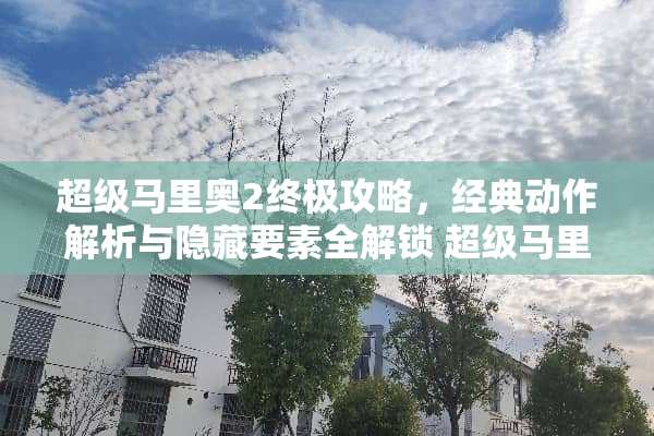 超级马里奥2终极攻略，经典动作解析与隐藏要素全解锁 超级马里奥2攻略