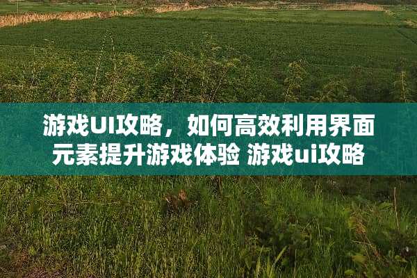 游戏UI攻略，如何高效利用界面元素提升游戏体验 游戏ui攻略