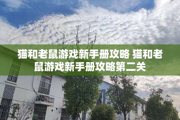 猫和老鼠游戏新手册攻略 猫和老鼠游戏新手册攻略第二关