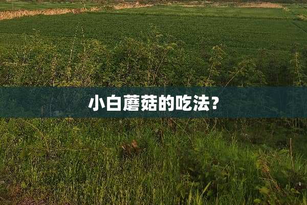 小白蘑菇的吃法？