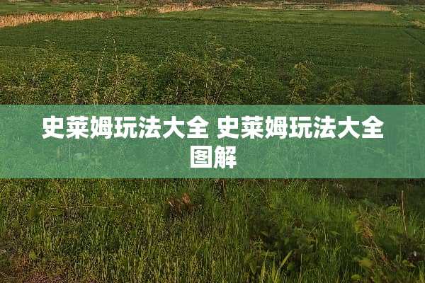 史莱姆玩法大全 史莱姆玩法大全图解