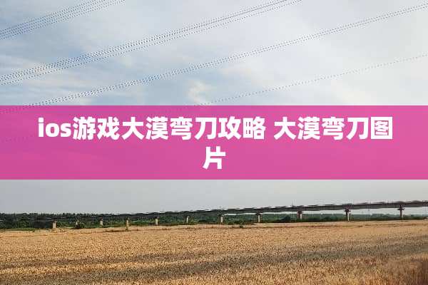 ios游戏大漠弯刀攻略 大漠弯刀图片