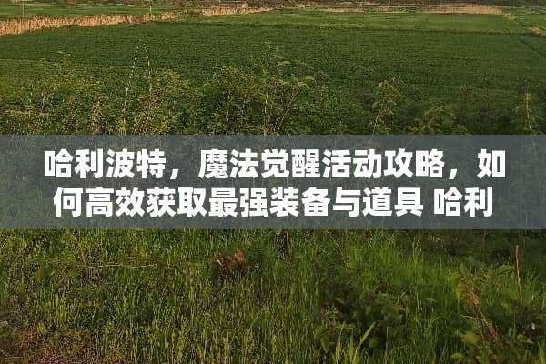 哈利波特，魔法觉醒活动攻略，如何高效获取最强装备与道具 哈利波特游戏活动攻略