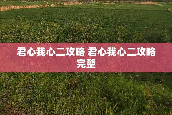 君心我心二攻略 君心我心二攻略完整