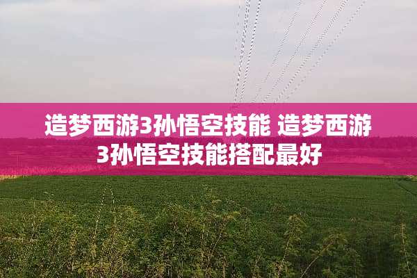 造梦西游3孙悟空技能 造梦西游3孙悟空技能搭配最好
