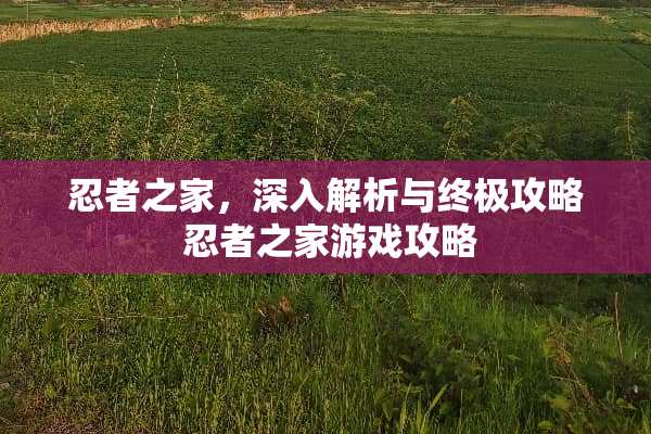 忍者之家，深入解析与终极攻略 忍者之家游戏攻略