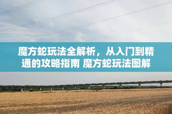 魔方蛇玩法全解析，从入门到精通的攻略指南 魔方蛇玩法图解