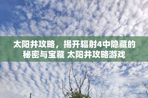 太阳井攻略，揭开辐射4中隐藏的秘密与宝藏 太阳井攻略游戏