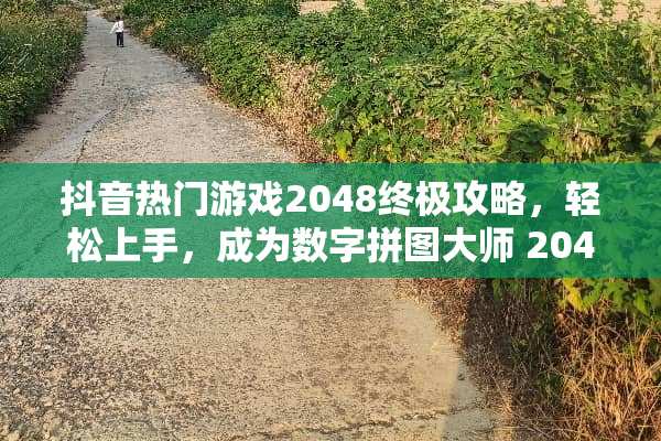 抖音热门游戏2048终极攻略，轻松上手，成为数字拼图大师 2048游戏攻略抖音