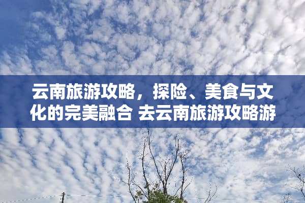 云南旅游攻略，探险、美食与文化的完美融合 去云南旅游攻略游戏