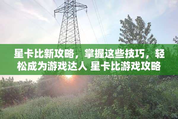 星卡比新攻略，掌握这些技巧，轻松成为游戏达人 星卡比游戏攻略