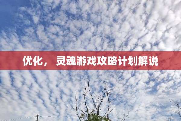 优化， 灵魂游戏攻略计划解说