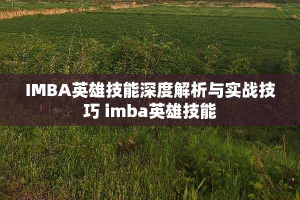 IMBA英雄技能深度解析与实战技巧 imba英雄技能