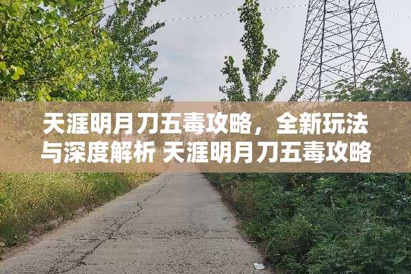 天涯明月刀五毒攻略，全新玩法与深度解析 天涯明月刀五毒攻略