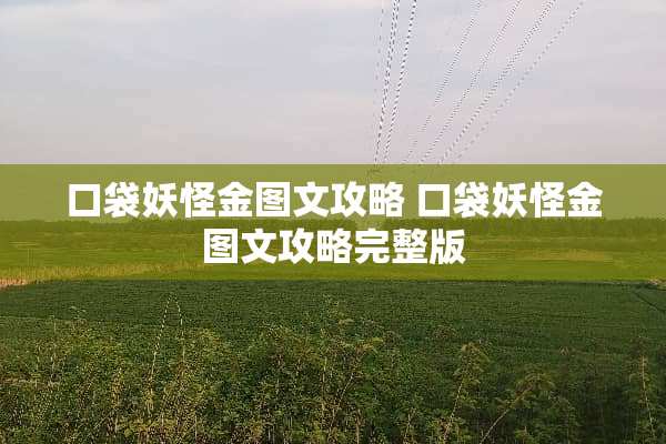 口袋妖怪金图文攻略 口袋妖怪金图文攻略完整版