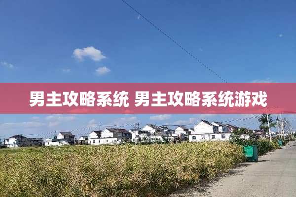 男主攻略系统 男主攻略系统游戏