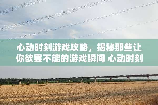 心动时刻游戏攻略，揭秘那些让你欲罢不能的游戏瞬间 心动时刻游戏攻略