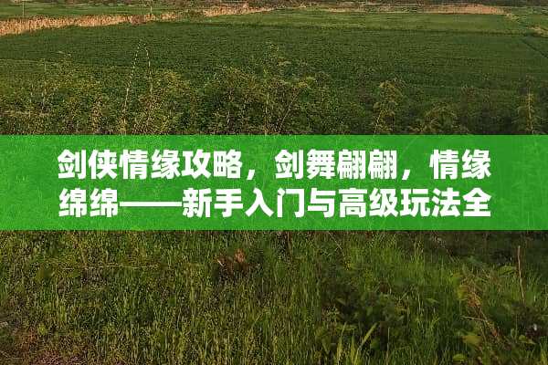 剑侠情缘攻略，剑舞翩翩，情缘绵绵——新手入门与高级玩法全解析 剑侠情缘攻略