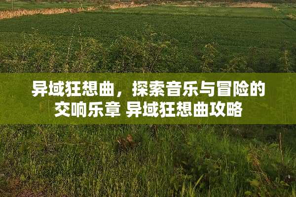 异域狂想曲，探索音乐与冒险的交响乐章 异域狂想曲攻略