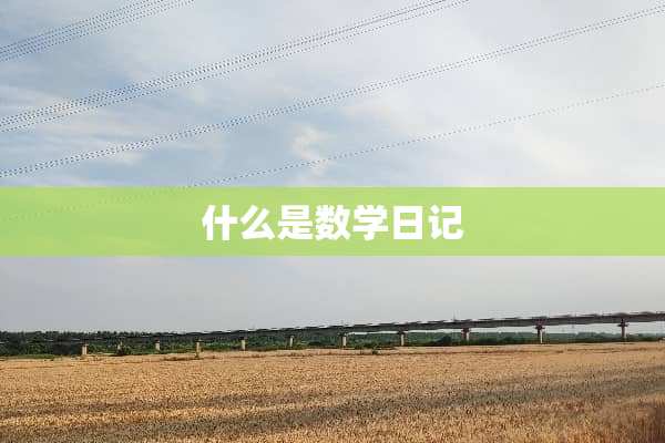 什么是数学日记