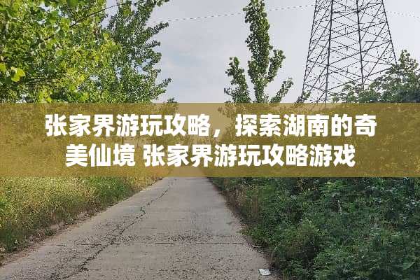 张家界游玩攻略，探索湖南的奇美仙境 张家界游玩攻略游戏