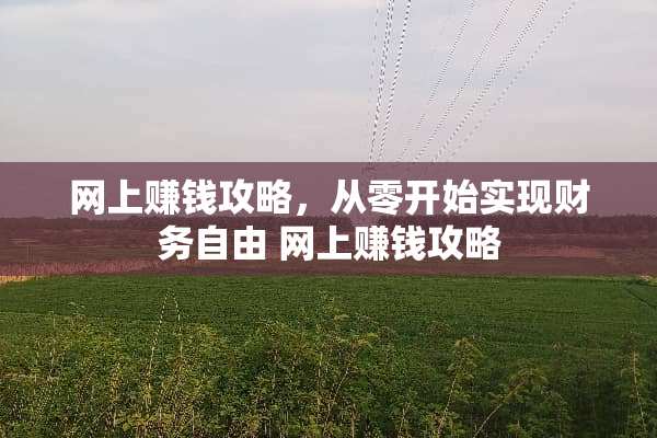 网上赚钱攻略，从零开始实现财务自由 网上赚钱攻略