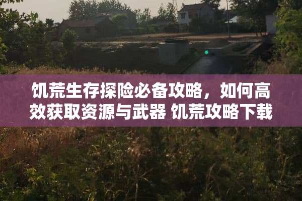 饥荒生存探险必备攻略，如何高效获取资源与武器 饥荒攻略下载