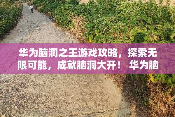 华为脑洞之王游戏攻略，探索无限可能，成就脑洞大开！ 华为脑洞之王游戏攻略