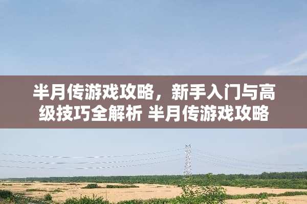 半月传游戏攻略，新手入门与高级技巧全解析 半月传游戏攻略