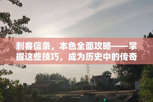 刺客信条，**全面攻略——掌握这些技巧，成为历史中的传奇刺客！ 刺客信条**攻略