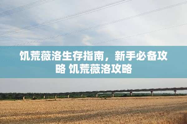 饥荒薇洛生存指南，新手必备攻略 饥荒薇洛攻略