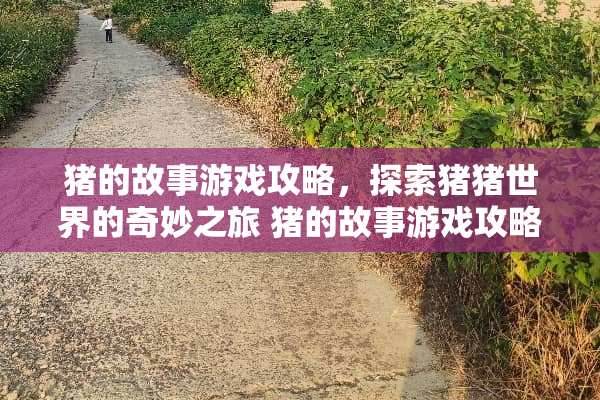 猪的故事游戏攻略，探索猪猪世界的奇妙之旅 猪的故事游戏攻略